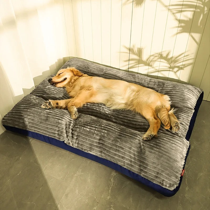 Hundhund med avtagbart fodral