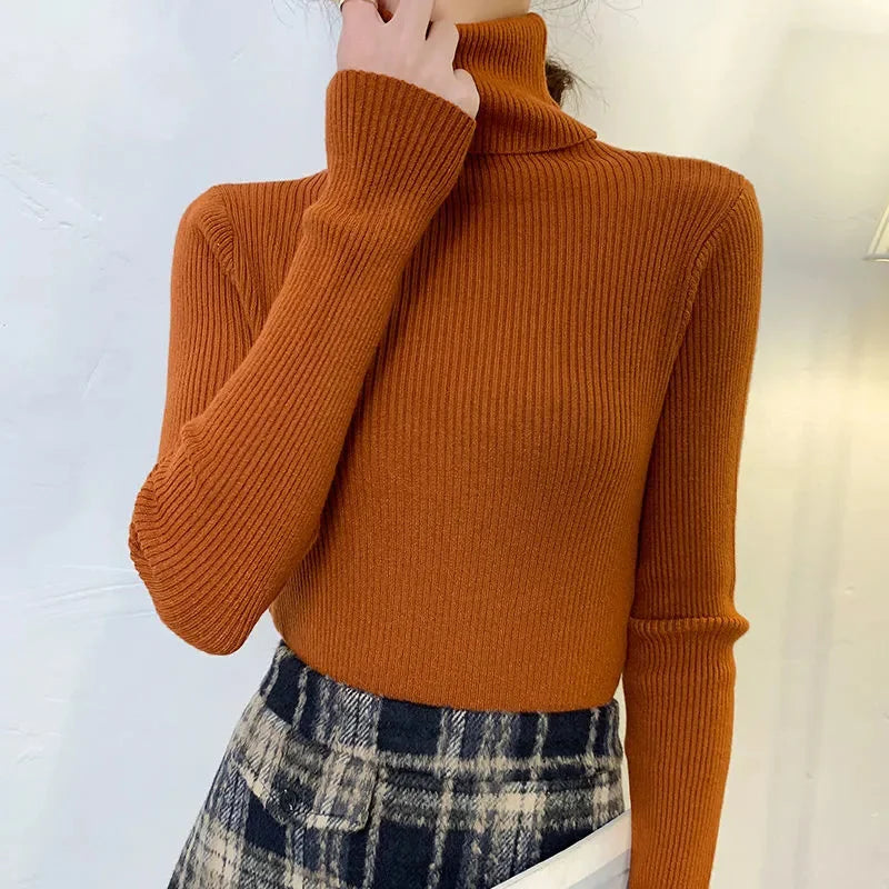Anouschka | Mjuk turtleneck for kvinna